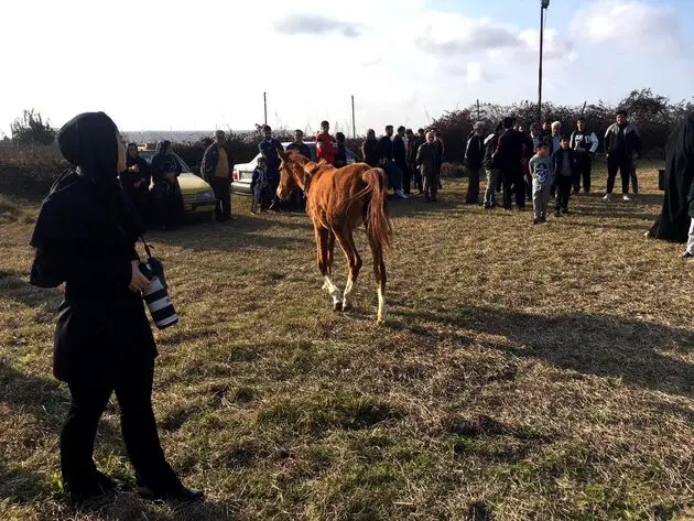 همایش پیاده روی خانوادگی در روستای  اسکنده سرخ رود
