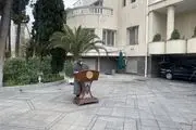 ژست جالب خانم سخنگو در حیاط دولت +عکس