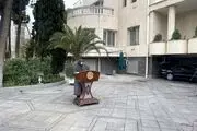 ژست جالب خانم سخنگو در حیاط دولت +عکس