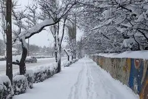 شنبه ۹ فروردین بارش برف شدید و کولاک در ۱۹ استان/ البرز و تهران زیر صفر