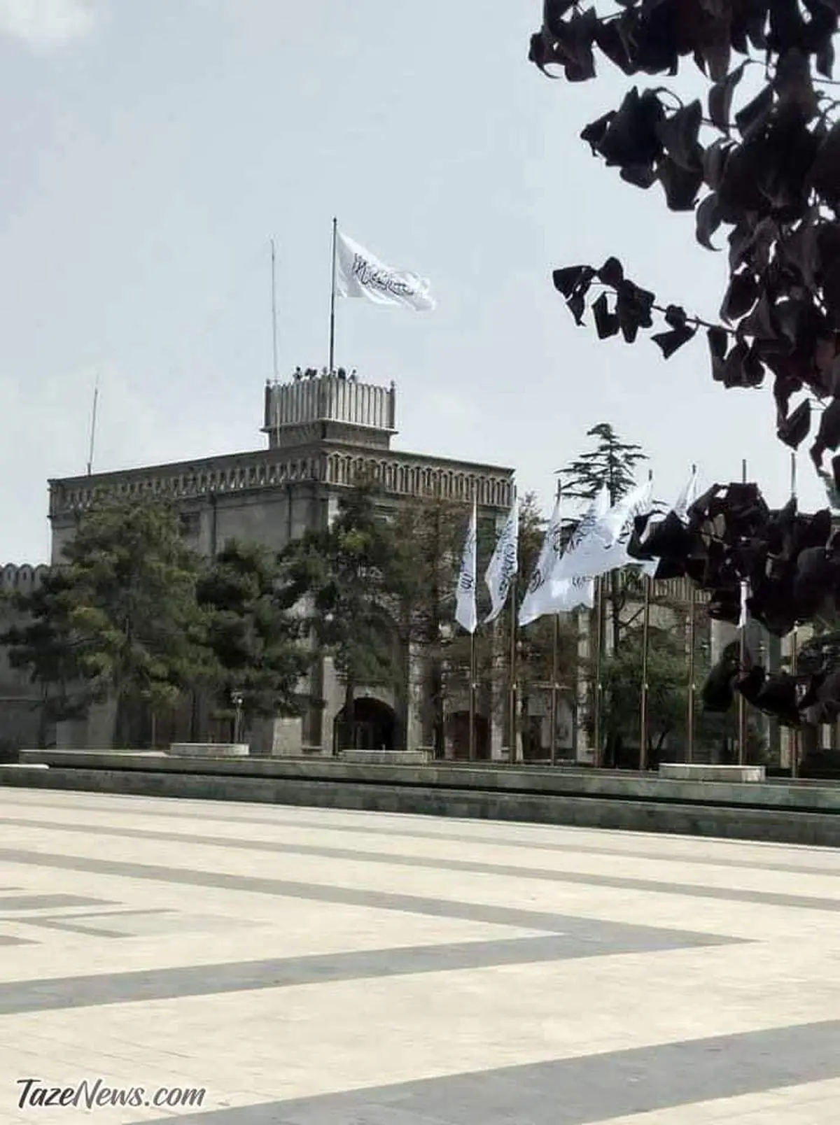 درگیری طالبان با مرزبانان ایرانی؟/ مرزها بسته شد!