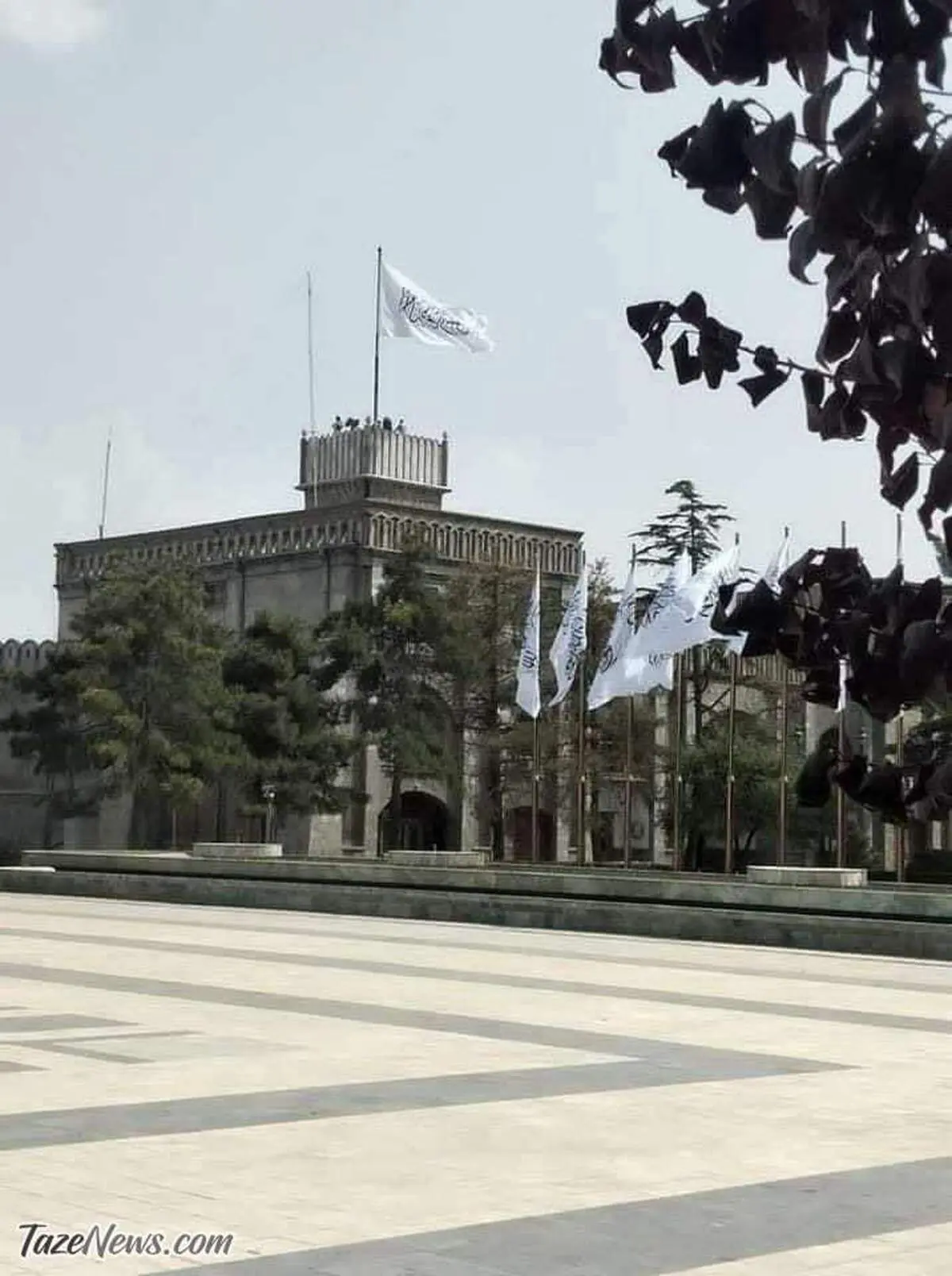 طالبان خواستار کمک ایران شد