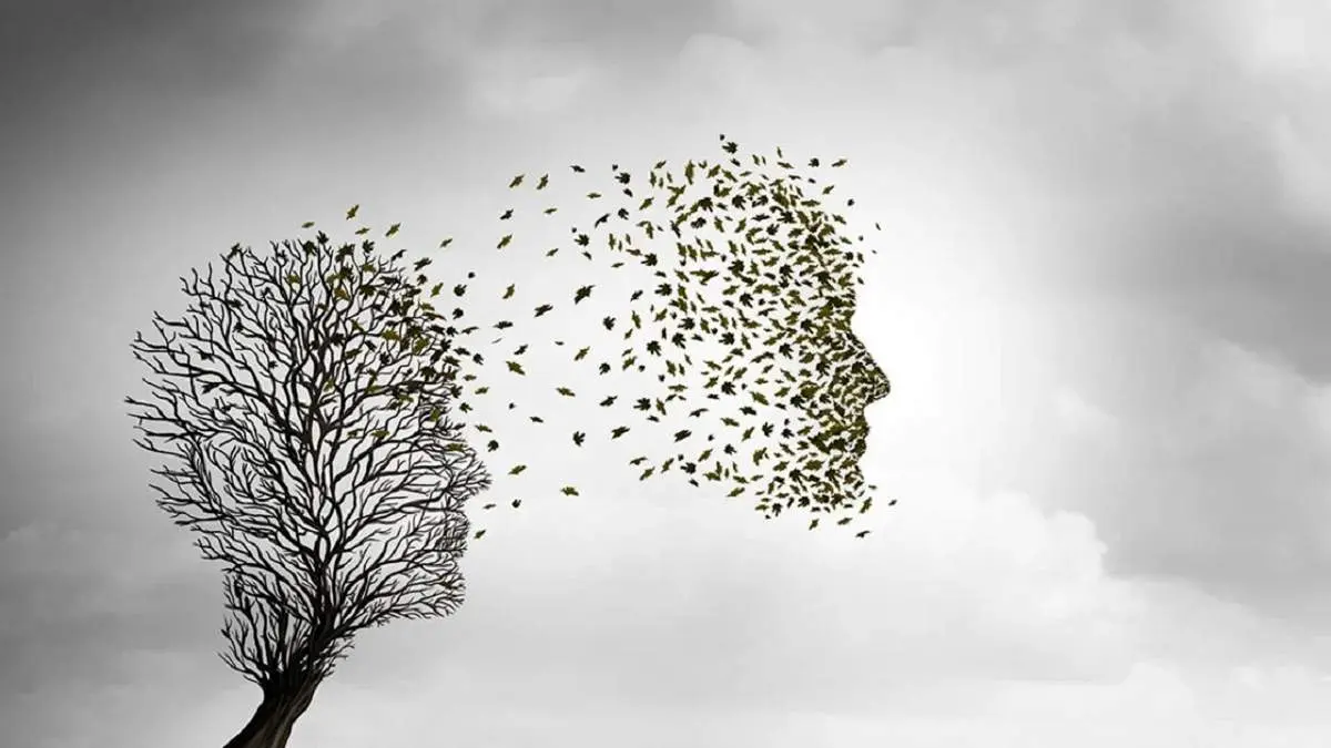 حقایقی درباره مرگ و اتفاقاتی که بعد از آن رخ میدهد