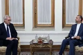 آماده برگزاری نشست وزرای خارجه با فرمت ٣+٣ در تهران هستیم 