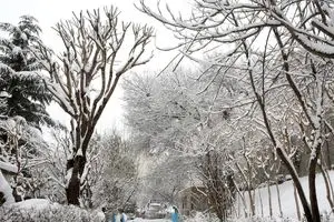 بارش برف شدید از ساعات آینده در این مناطق/ حشدار کواتک در جاده ها