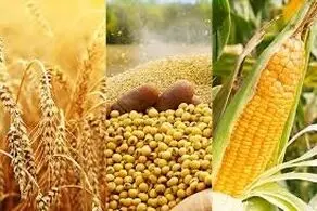 واردات مواد غذایی چین رکورد زد