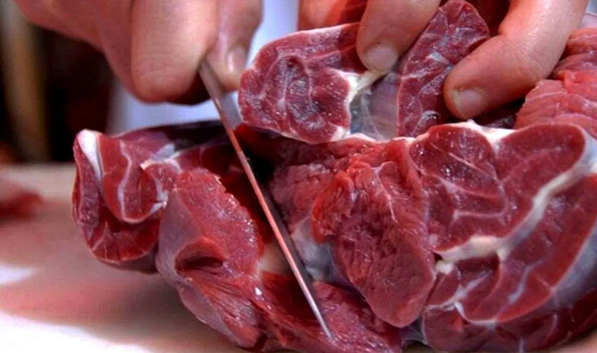 افشای واقعیت استفاده از گوشت الاغ در یک هتل مشهد