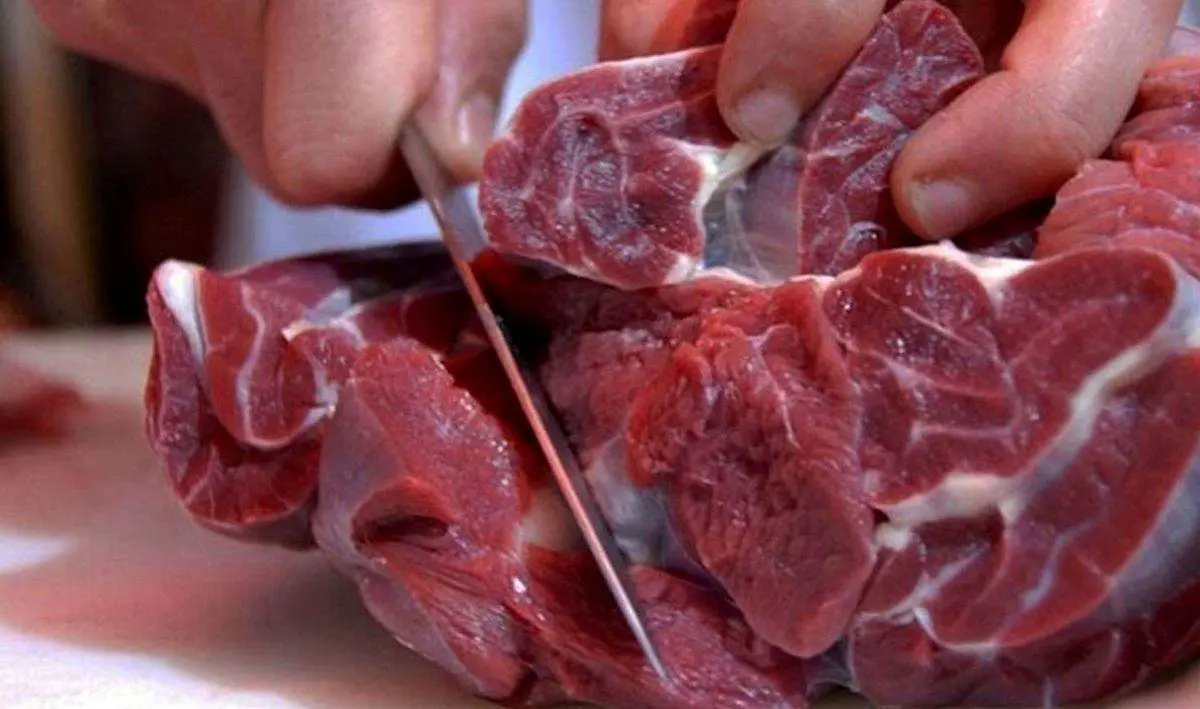 افشای واقعیت استفاده از گوشت الاغ در یک هتل مشهد