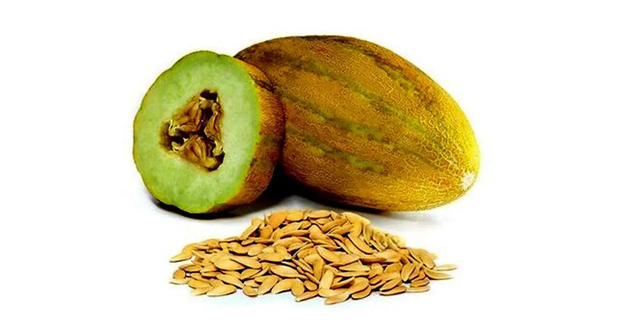 تاثیر شگفت عصاره دانه این میوه در نابودی سنگ کلیه