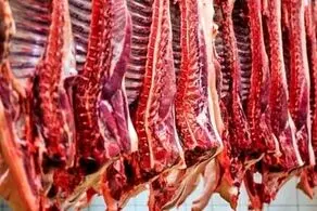گوشت بالاخره ارزان شد/ قیمت‌ها عقب‌نشینی کردند