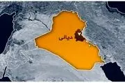 برنامه جدید آمریکا برای بردن داعش به این منطقه!+جزییات