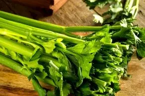  اگر تا به حال کرفس نخورده اید بزرگترین اشتباه زندگی تان را مرتکب شده اید