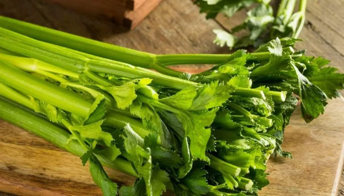 بجای آب کرفس، دمنوش کرفس بخورید+ طرز تهیه