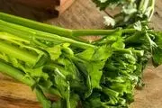 بجای آب کرفس، دمنوش کرفس بخورید+ طرز تهیه