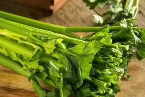 بجای آب کرفس، دمنوش کرفس بخورید+ طرز تهیه