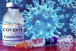 طبق یک یافته جدید این گروه از افراد نیاز به تزریق واکسن 
کرونا ندارند!