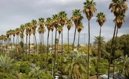 نوروز امسال راهی جیرفت شوید؛ جایی که بهار و تمدن همزمان شکوفا می‌شوند