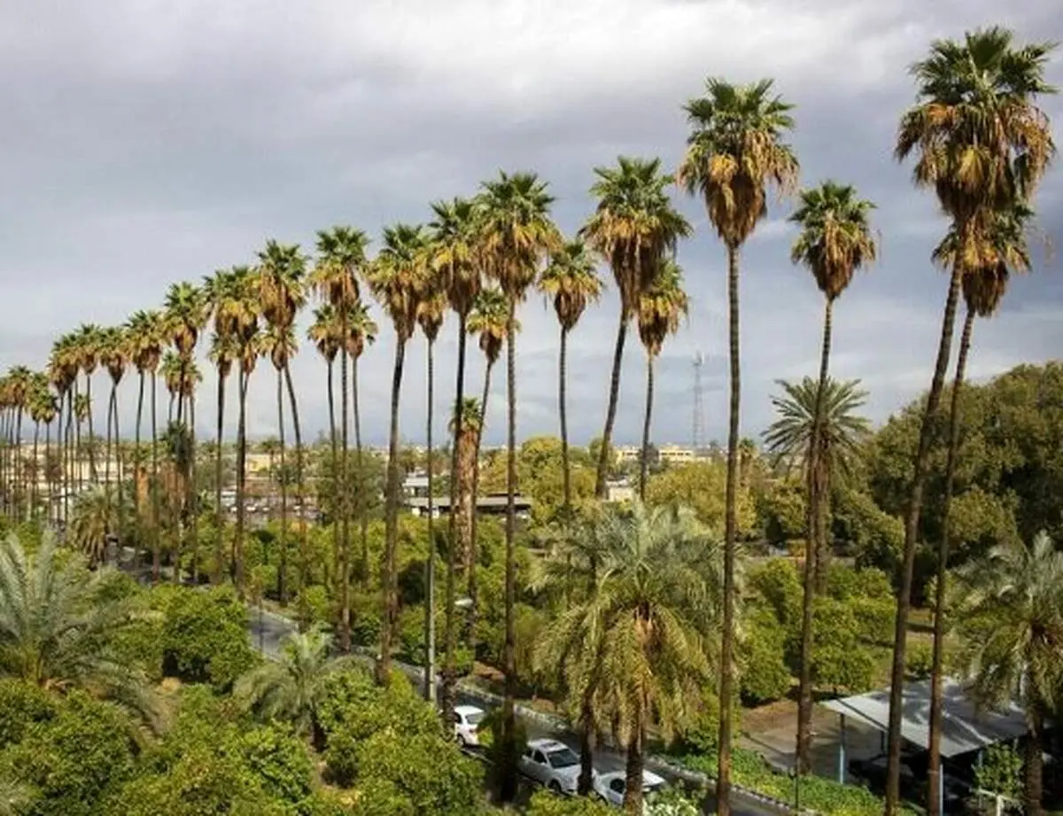 نوروز امسال راهی جیرفت شوید؛ جایی که بهار و تمدن همزمان شکوفا می‌شوند