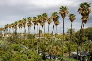 نوروز امسال راهی جیرفت شوید؛ جایی که بهار و تمدن همزمان شکوفا می‌شوند