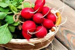 این افراد هرگز نباید تربچه بخورند!