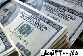 حذف ارز 4200 تومانی جدی‌تر شد؟