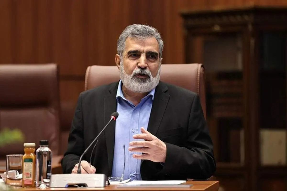 کمالوندی: به‌رغم سنگ‌اندازی آمریکا، برای تصویب قطعنامه پیشنهادی ایران تلاش می‌کنیم
