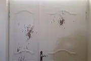 پشت پرده ماجرای تیراندازی شبانه در آمل