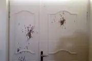 پشت پرده ماجرای تیراندازی شبانه در آمل