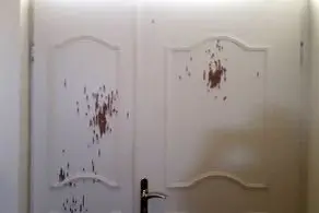 پشت پرده ماجرای تیراندازی شبانه در آمل