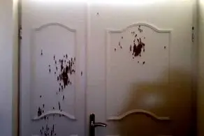 پشت پرده ماجرای تیراندازی شبانه در آمل