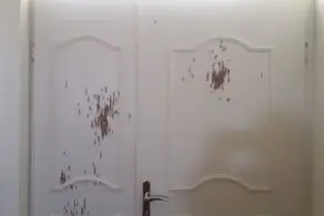 پشت پرده ماجرای تیراندازی شبانه در آمل