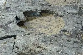 کشف آدم فضایی‌ها با کمک دایناسورها