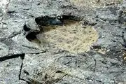 کشف آدم فضایی‌ها با کمک دایناسورها