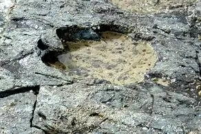 کشف آدم فضایی‌ها با کمک دایناسورها