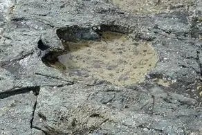 کشف آدم فضایی‌ها با کمک دایناسورها