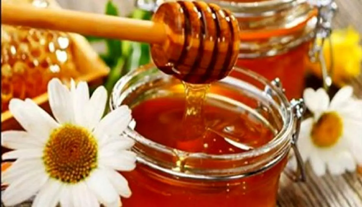 با بهترین آنتی‌بیوتیک طبیعی بیشتر آشنا شوید