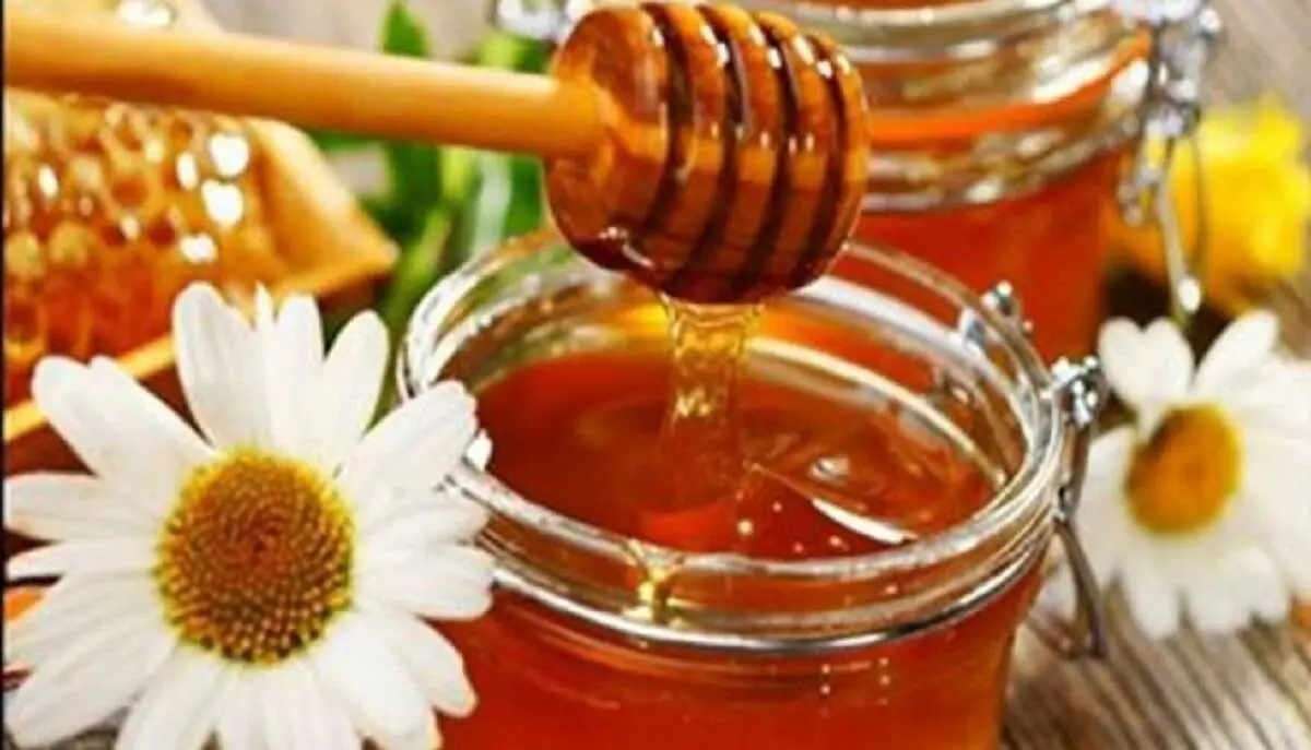 با بهترین آنتی‌بیوتیک طبیعی بیشتر آشنا شوید