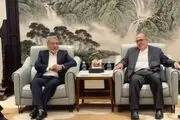 عبدالرضا رحمانی فضلی به چین رسید 