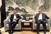 عبدالرضا رحمانی فضلی به چین رسید 