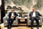 عبدالرضا رحمانی فضلی به چین رسید 