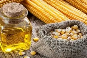 کاهش کلسترول خون با این روغن مهم