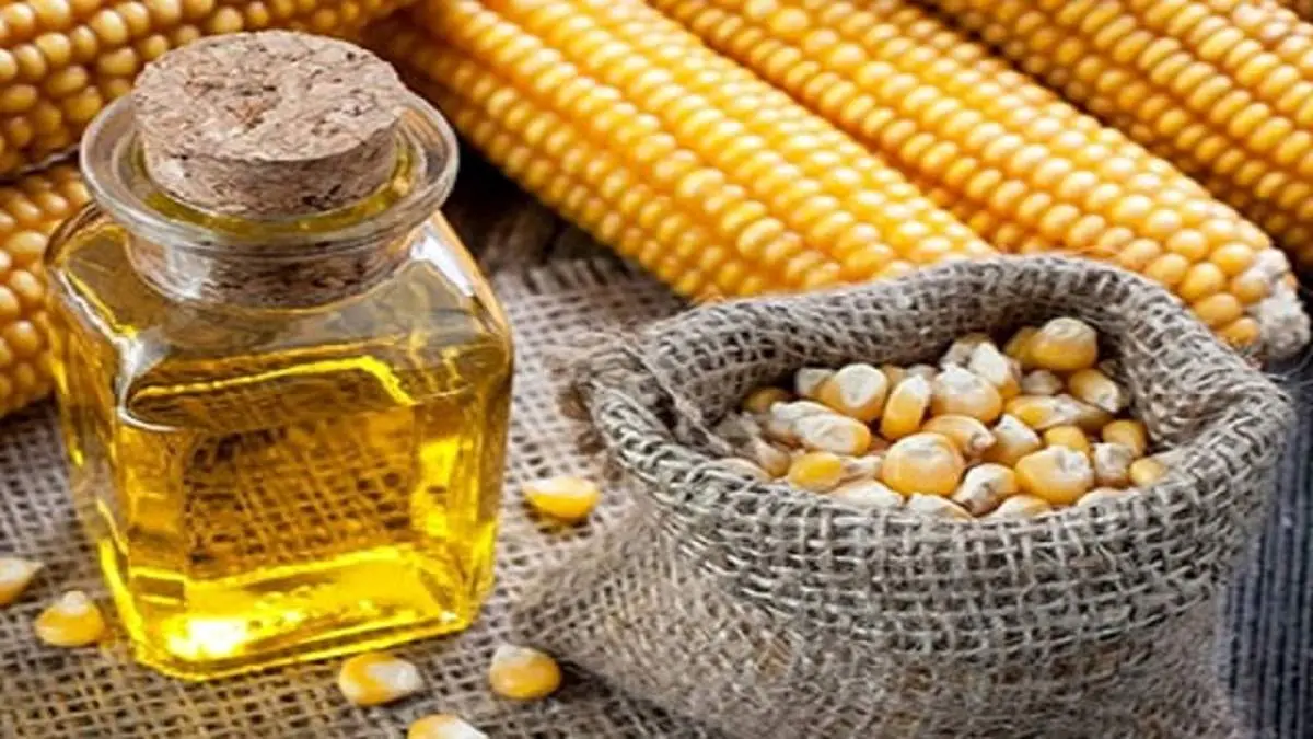کاهش کلسترول خون با این روغن مهم