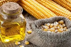 کاهش کلسترول خون با این روغن مهم