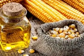 کاهش کلسترول خون با این روغن مهم