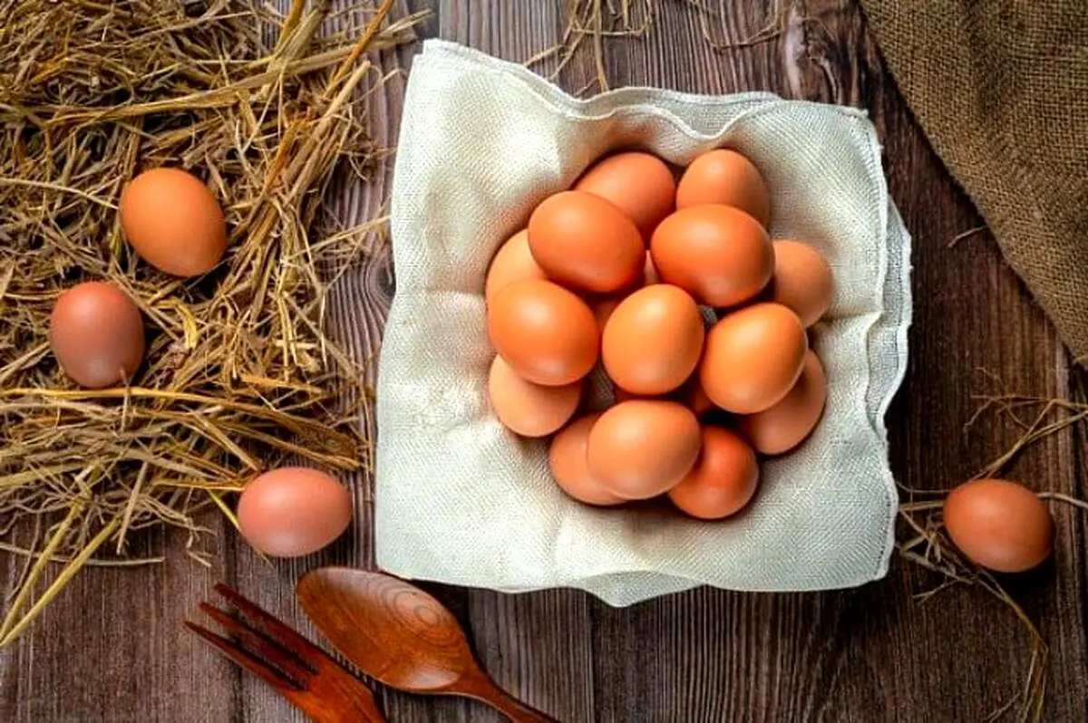 خبر مهم از قیمت تخم‌مرغ