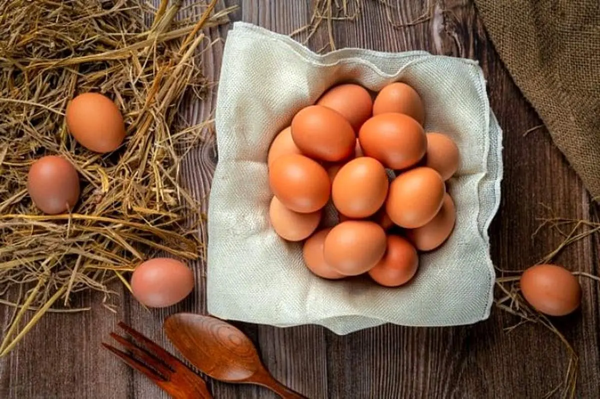 اگر هر روز تخم مرغ میخورید، بخوانید