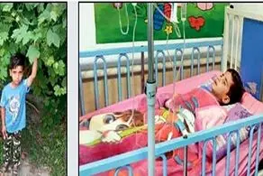 ناگفته‌های پدر محمدطا‌ها پس از ۴۸ ساعت ناپدید شدن در جنگل‌