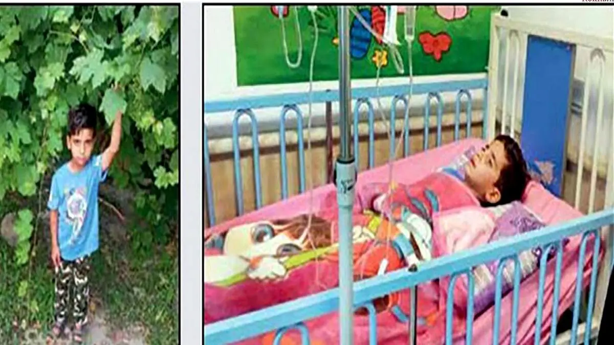 ناگفته‌های پدر محمدطا‌ها پس از ۴۸ ساعت ناپدید شدن در جنگل‌