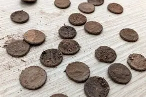 بارش باران، گنج سکه‌های ۲هزارساله بیرون انداخت/ عکس
