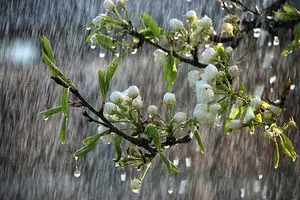 رخداد غافلگیرکننده هواشناسی یکشنبه و دوشنبه (۶ و ۷ مهر)/ هشدار کاهش دما